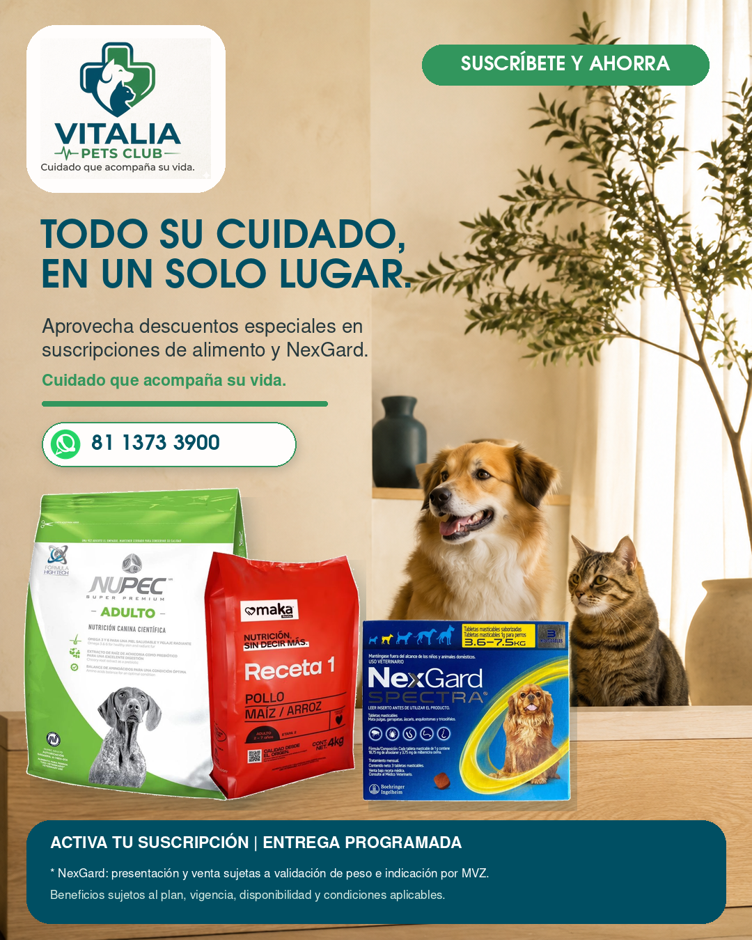 Vitalia Pets Club: nutrición, antiparasitarios y suscripción con entrega programada